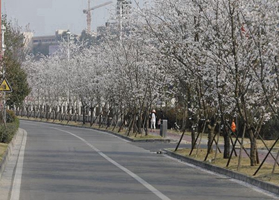 浙江2025年初中生读什么铁路学校