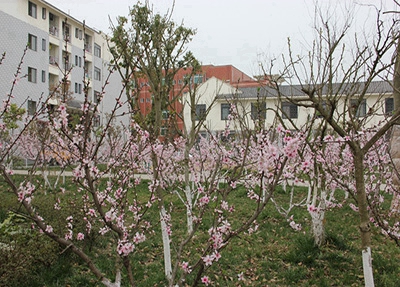 江苏2025年男生在铁路学校学什么好